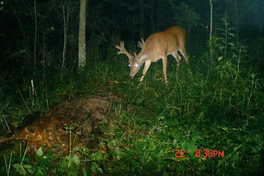 Cluster2.jpg