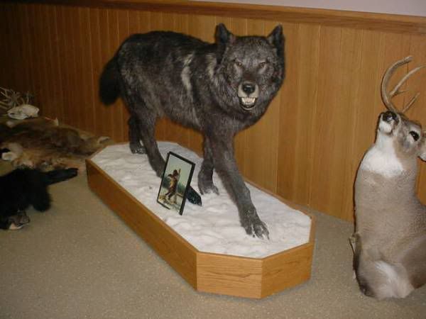 wolfmount.jpg