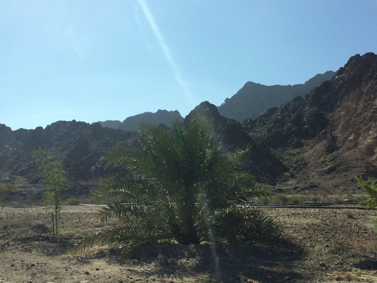 IMG-20150202-WA0006_zps2j3cl9eh.jpg