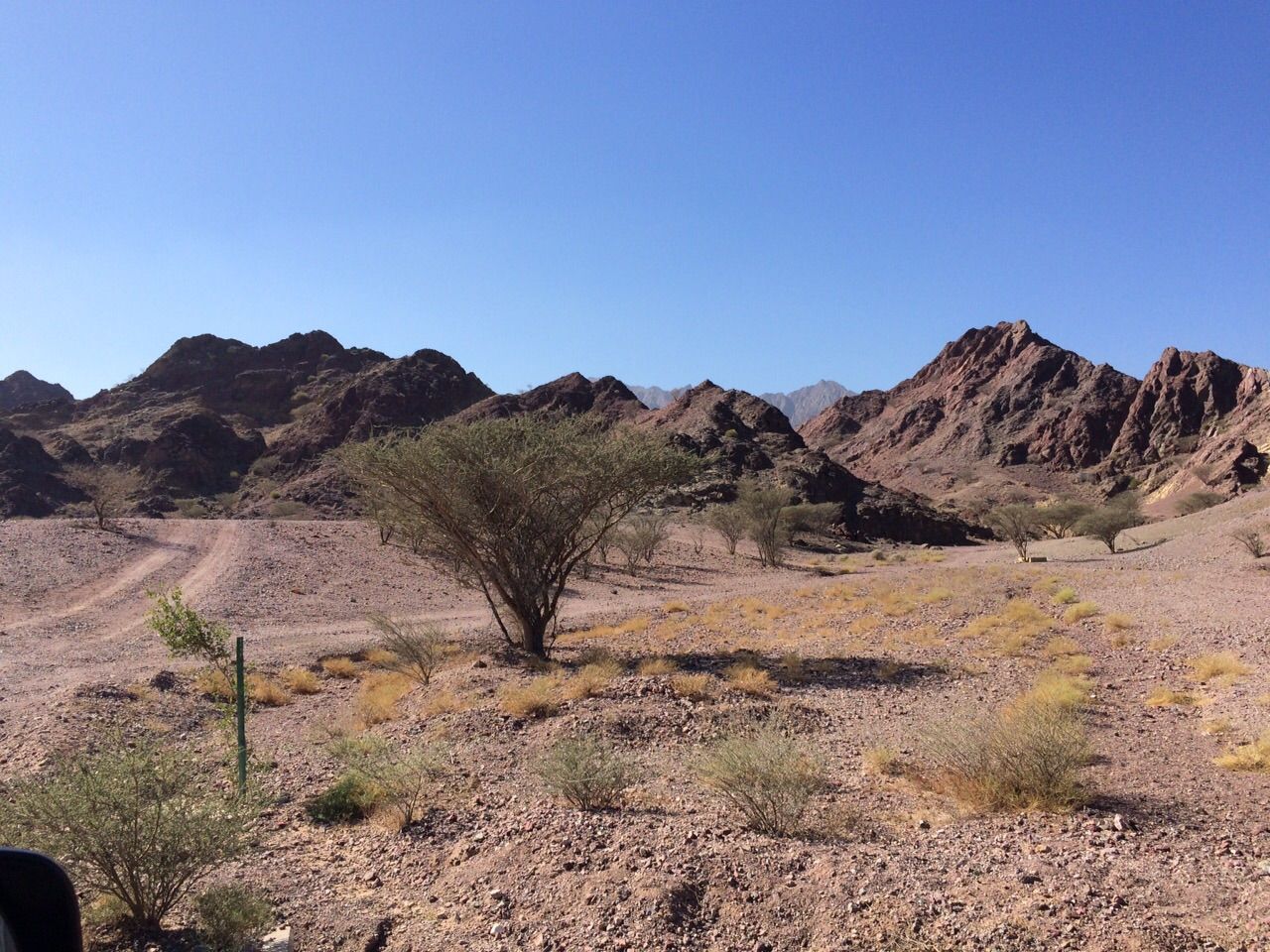 IMG-20150202-WA0007_zpschzanbpp.jpg