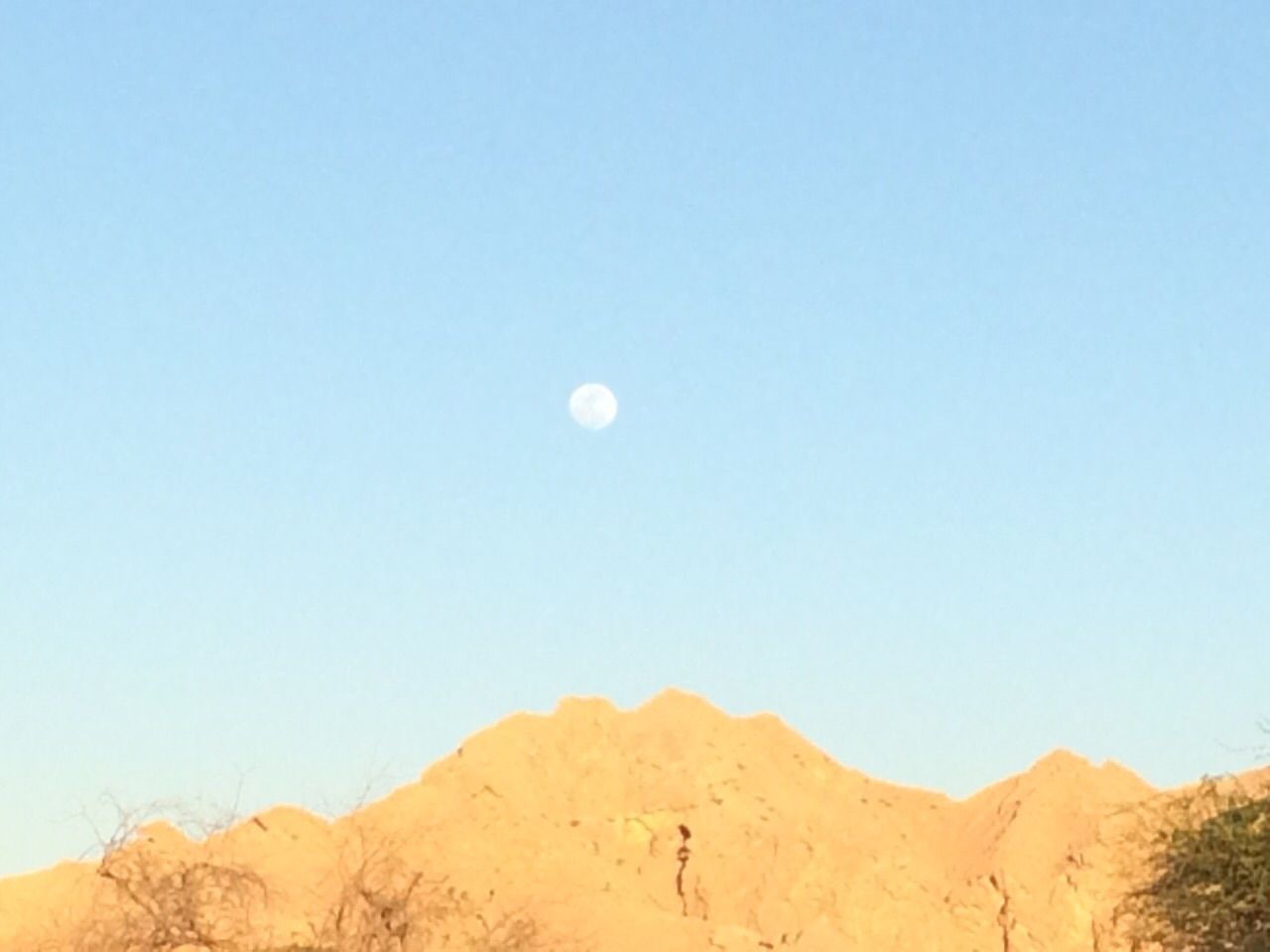 IMG-20150202-WA0023_zpso3kfs0su.jpg