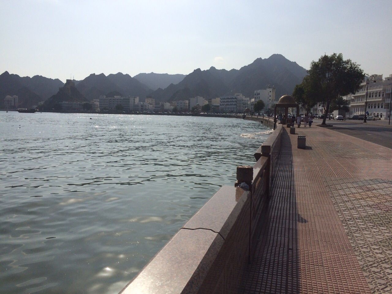IMG-20150205-WA0003_zpsvgmy25yc.jpg