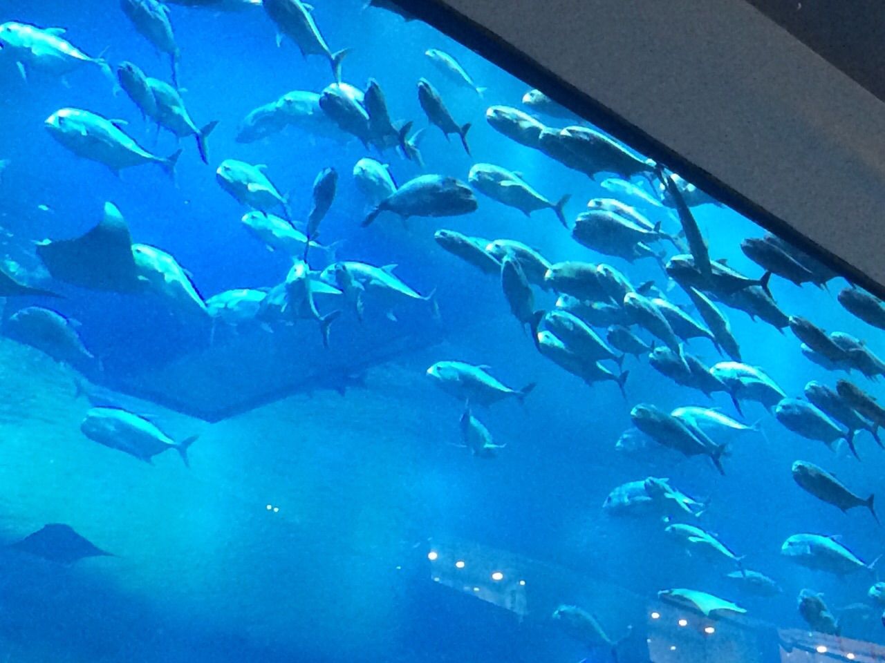 IMG-20150126-WA0046_zpsywz0jd0w.jpg