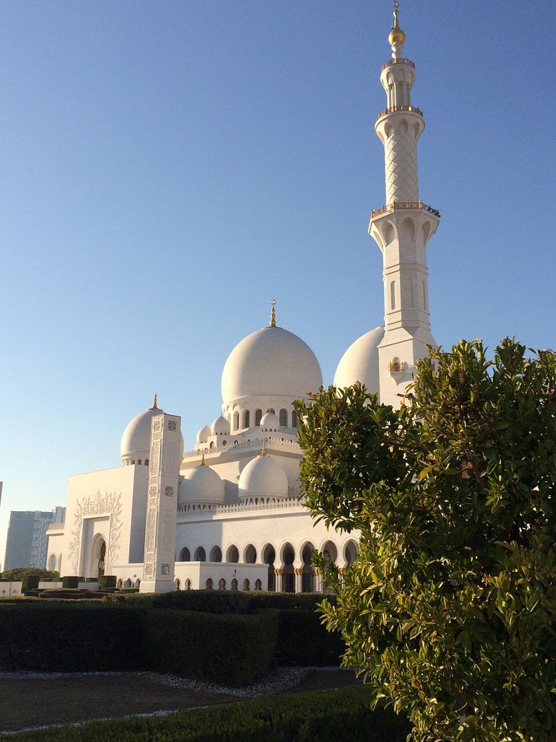 IMG-20150129-WA0005_zps7klrqzub.jpg