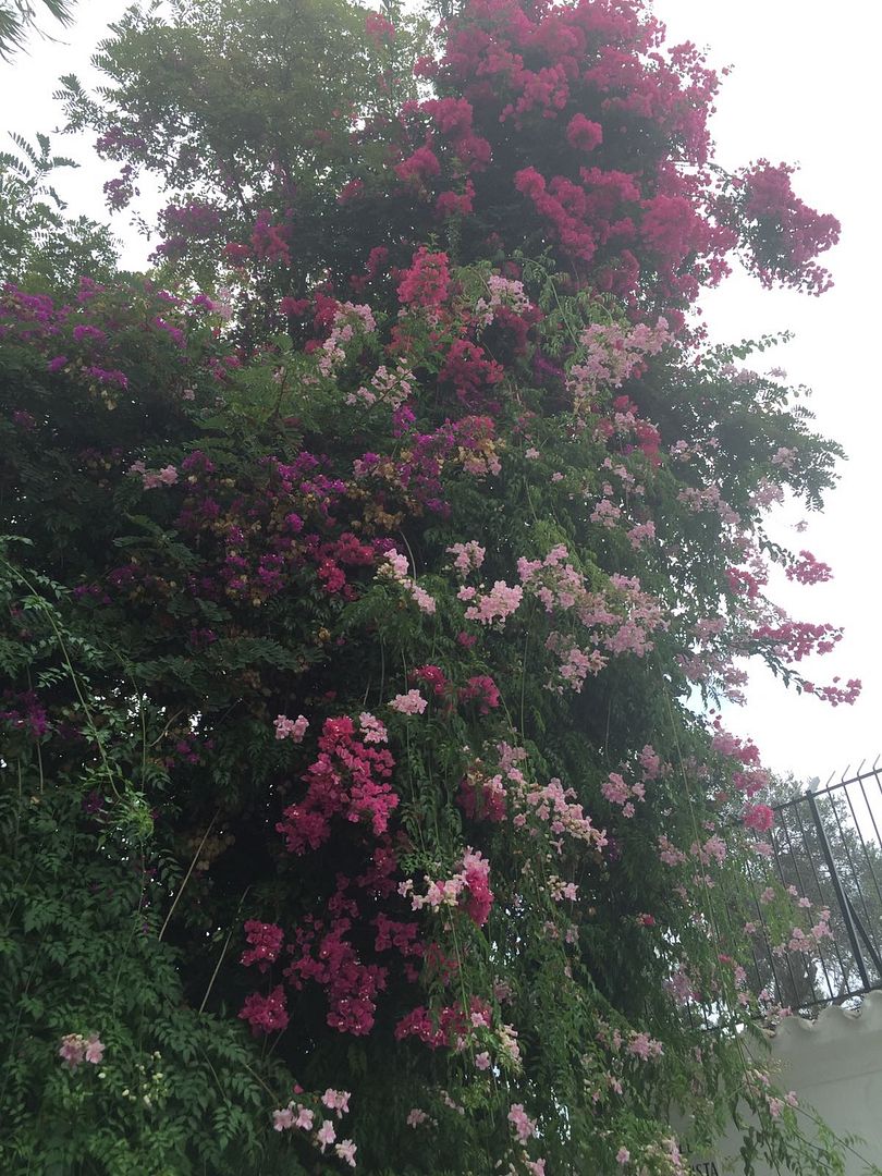 IMG-20160920-WA0048_zpsyaldwlld.jpg