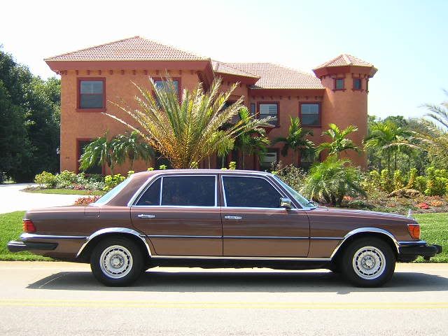  as Al Abassi will confirm EVERYTHING looks better on a brown mercedes