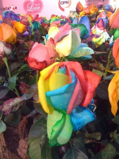 roses03.jpg