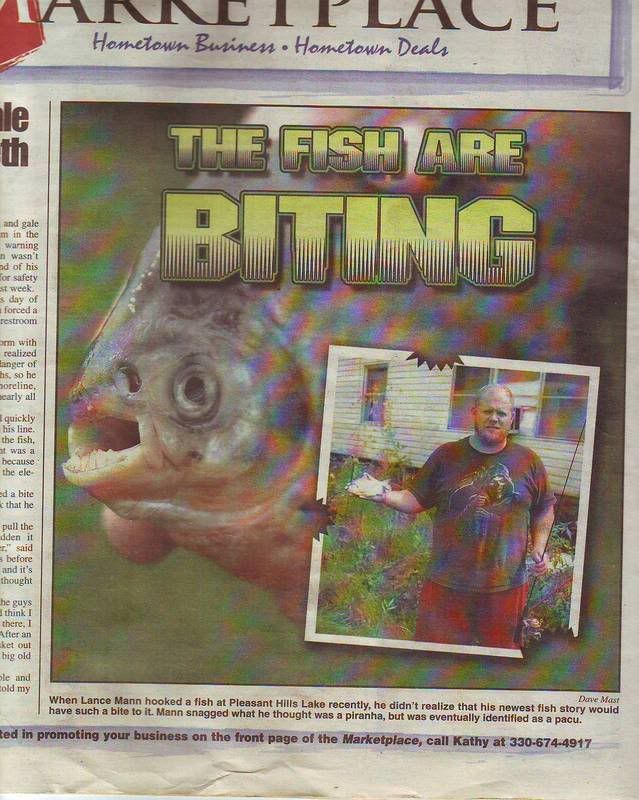 bitingfish.jpg