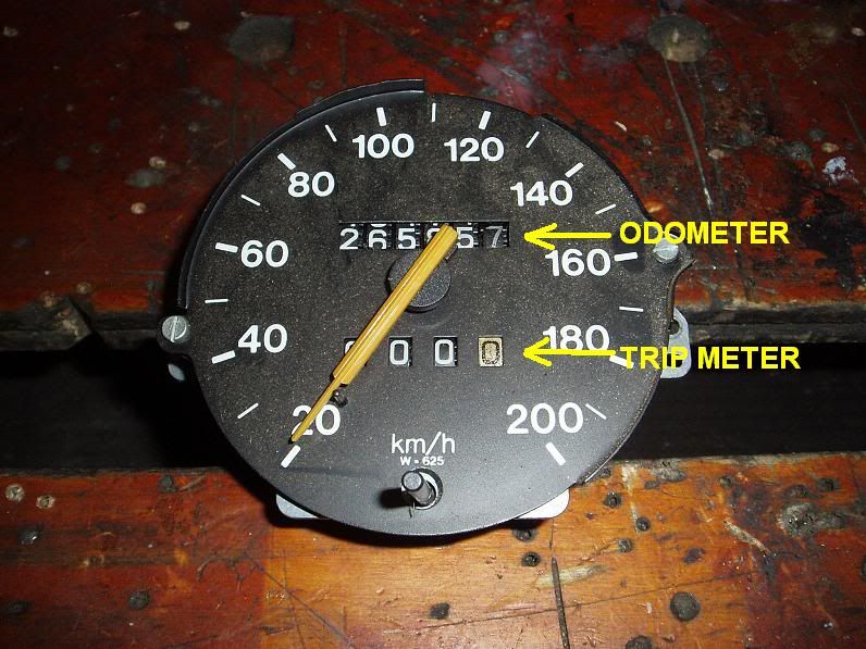 What's going on in your speedos? General Questions and Help GMHTorana