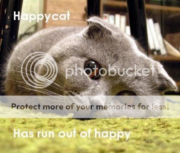 https://i48.photobucket.com/albums/f218/Volatile_Squirrel/happycat2.jpg