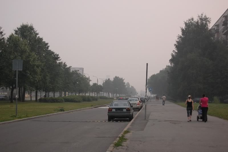 Смог в Петербурге Смог в Петербурге