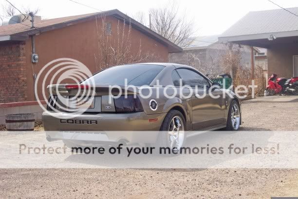 1999 Ford mustang kelly blue book #9