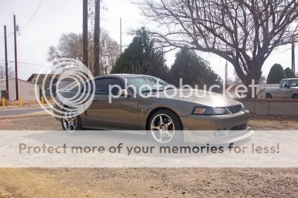 1999 Ford mustang kelly blue book #10