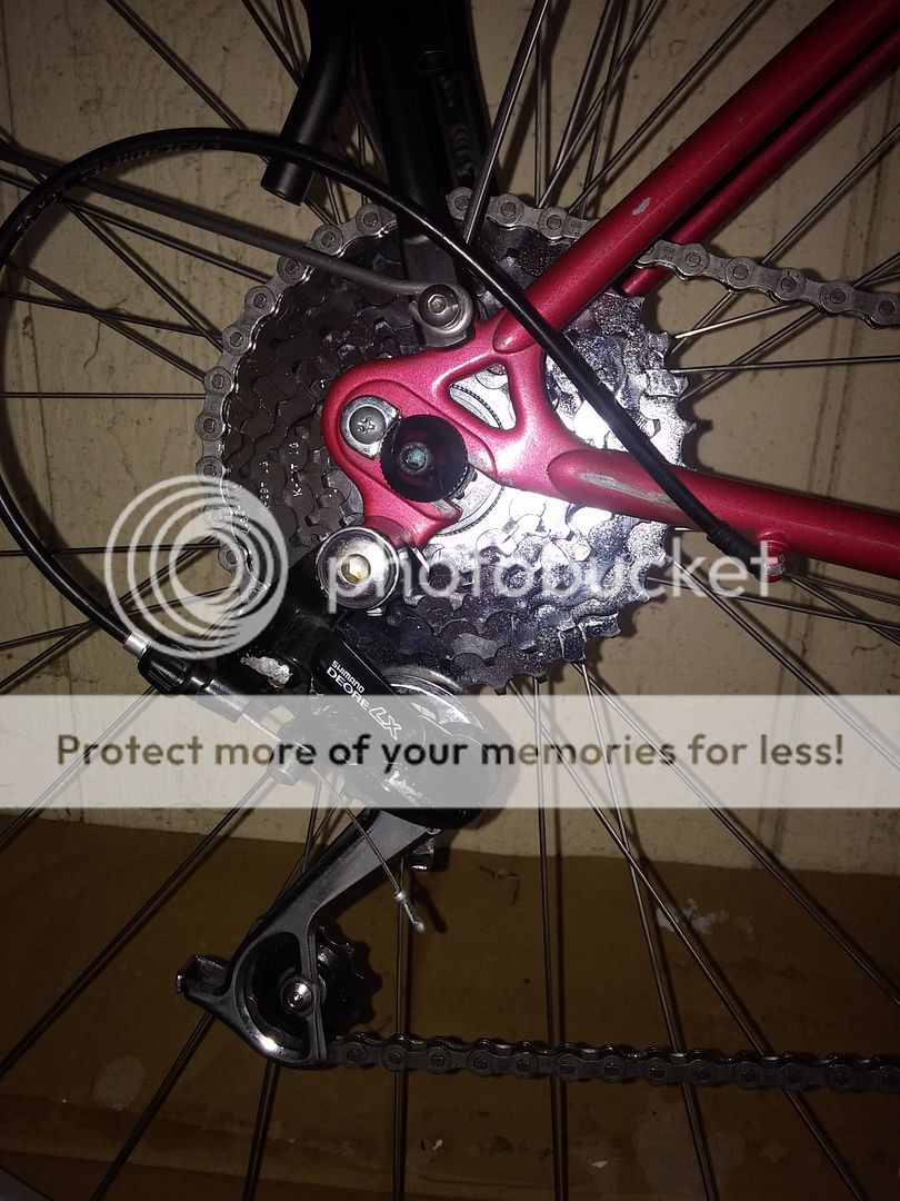 georgina terry bikes