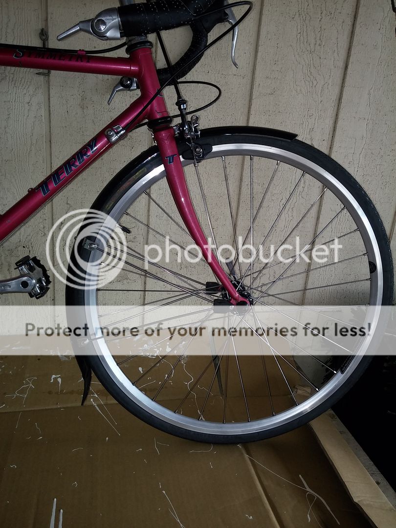 georgina terry bikes