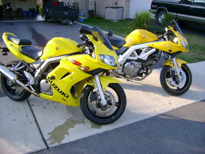 2004 2005 Yellow | Suzuki SV650 Riders Forum