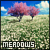 Meadows