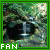 Rainforests