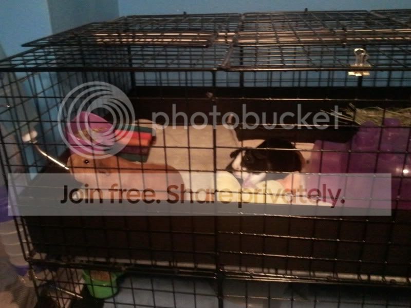 2011-11-14220808.jpg