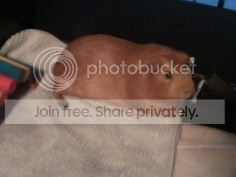 2011-11-14220844.jpg